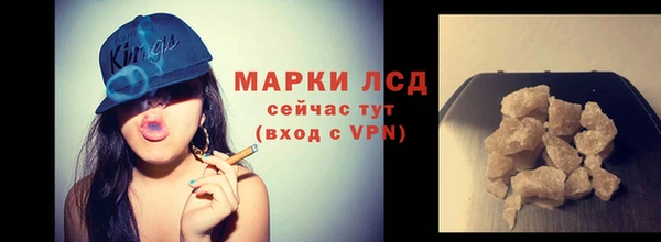 стафф Надым