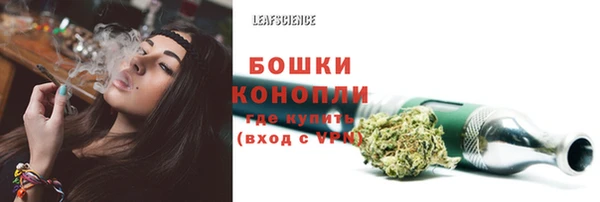 стафф Надым
