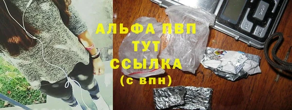 стафф Надым