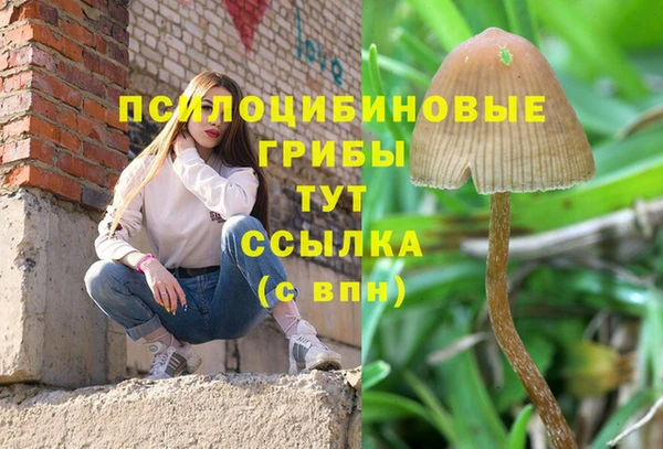 стафф Надым