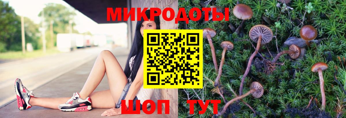 Галлюциногенные грибы мицелий  Вход с VPN  Северодвинск  Псилоцибиновые грибы Psilocybe 