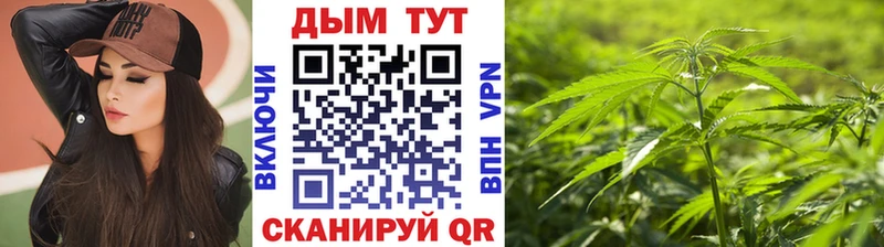 mega рабочий сайт  Северодвинск  Каннабис OG Kush  сколько стоит 